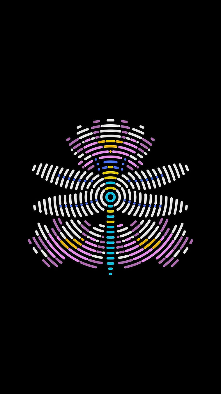 Lotus and Dragonfly, Buddhism, Symbolic, Bugs and flowers series, NOW