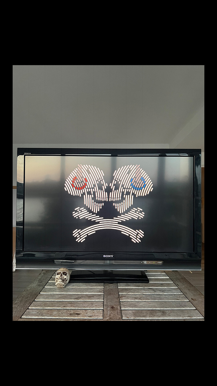 Two skulls digital skeletons on an old Sony tv