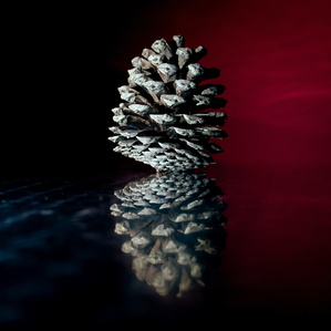 Pomme de pain et sa réflexion avec une lumière d&#x27;arrière plan bleue et rouge
