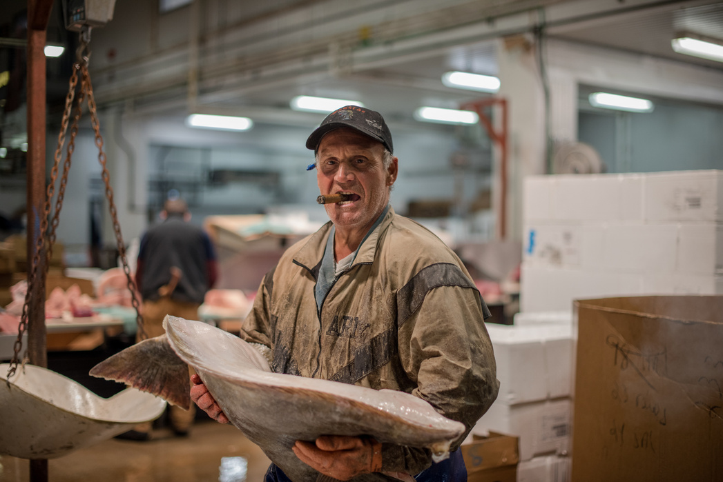 BRONX, NEW YORK- AUGUST 23, 2017: Mike “The Coach” Pontebbi poses for a portrait at the Fulton Fish Market on Wednesday morning.