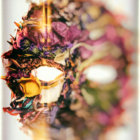 fine art photography