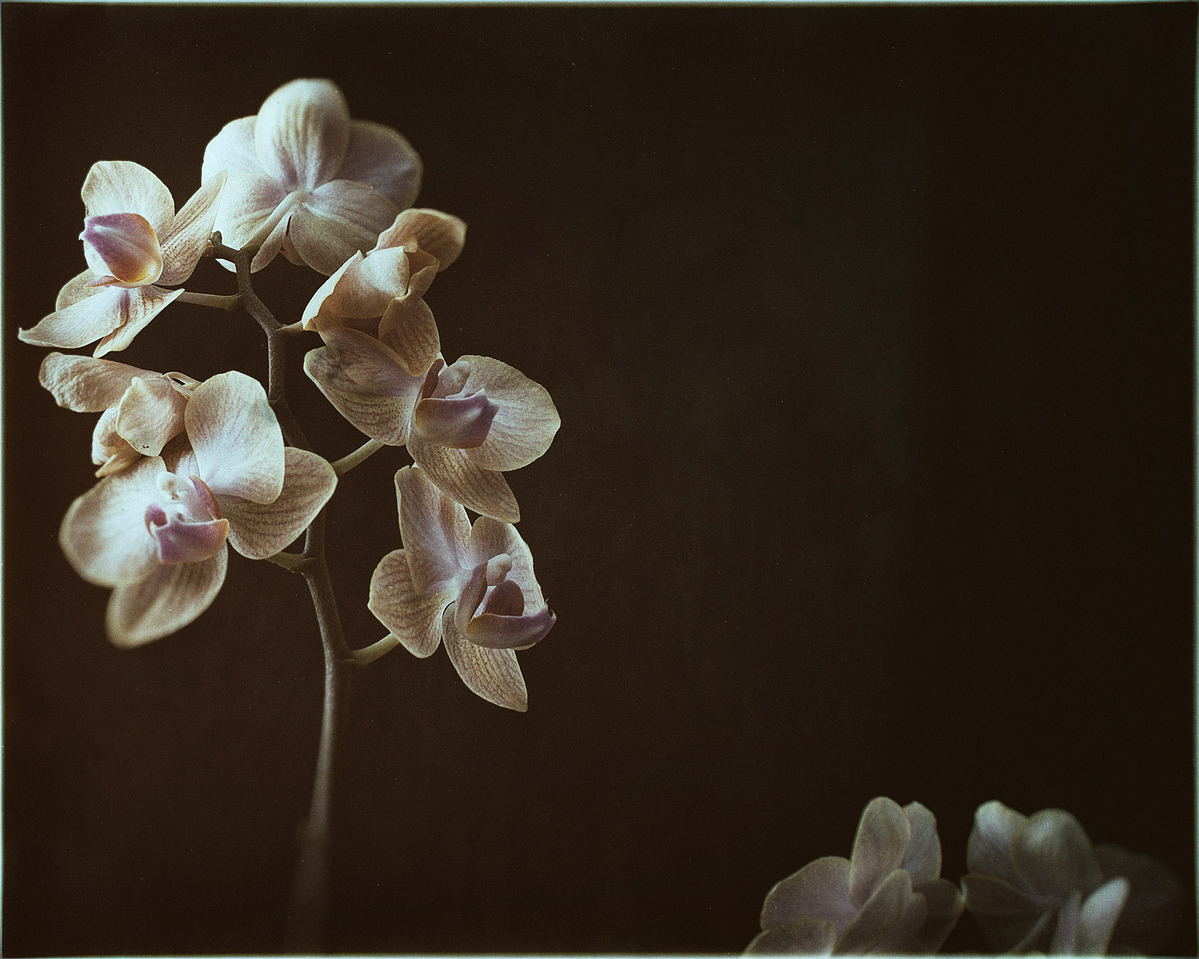 Fine art photography, emotional photography, gallery photography, gallery, award winning photography