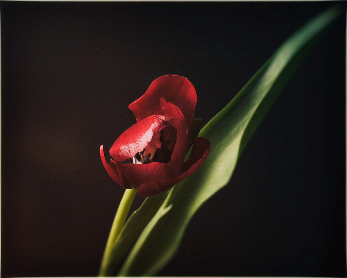 Fine art photography, emotional photography, gallery photography, gallery, award winning photography