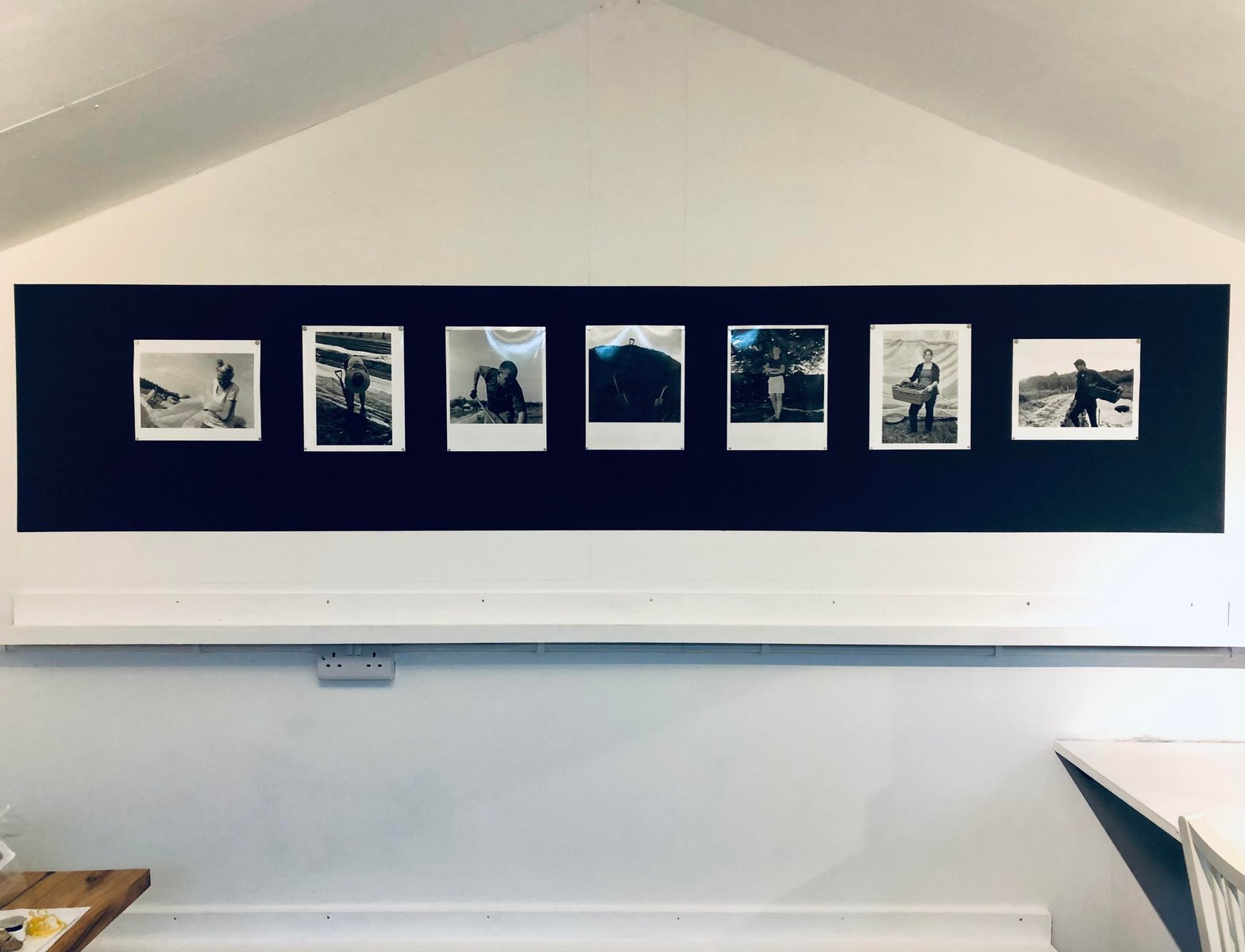 A studio wall and peaked roof with black and white darkroom prints of farming displayed on a strip of black metallic (magnetic) paint)
