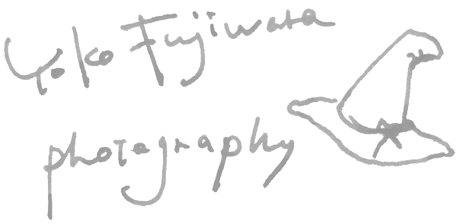 YOKO FUJIWARA/藤原葉子