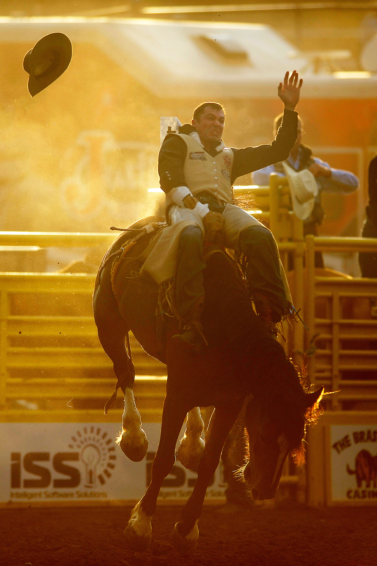 Bareback rider Steven Dent takes to the arena on Breezy Weather during the 73rd annual Pikes Peak or Bust Rodeo Wednesday, July 10, 2013 at the Norris-Penrose Event Center. Dent is tied for the lead with 83 points as of the first day of competition. Micha