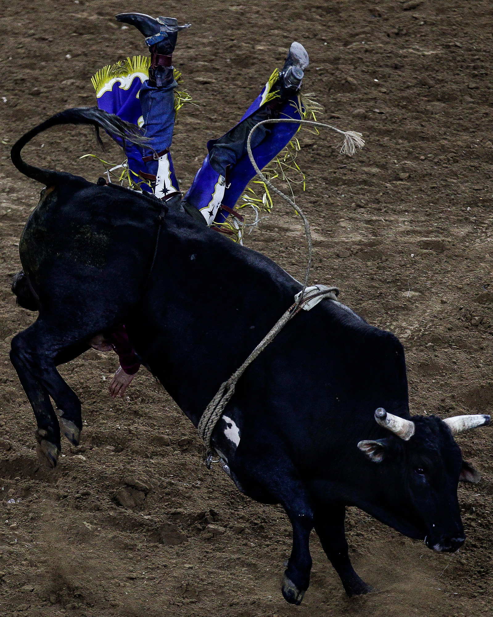 Bull rider Tyler Smith is bucked off his bull at the Houston Livestock Show and Rodeo at NRG Stadium Wednesday, March 2, 2016 in Houston.