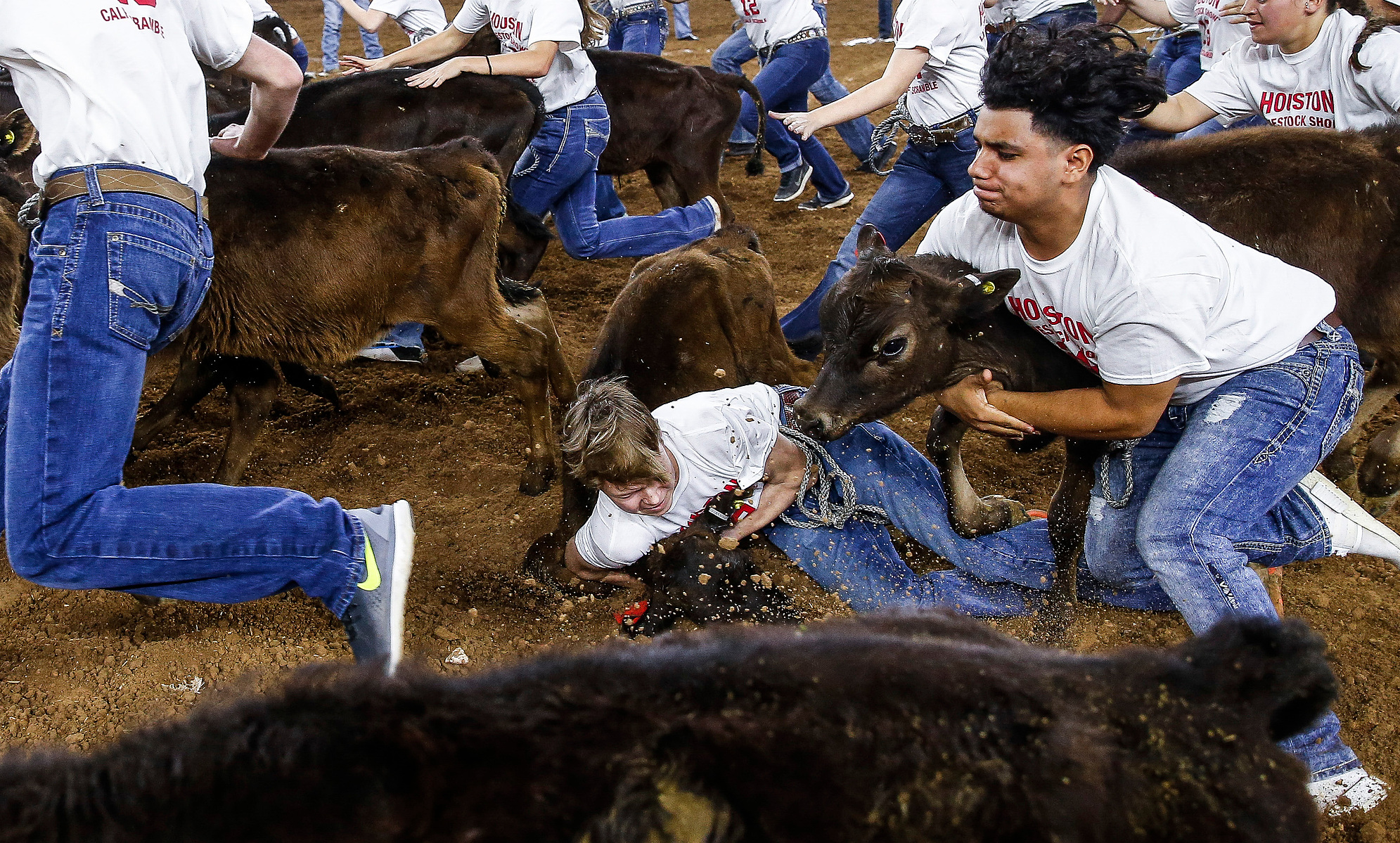 Calf scramblers race after calves during Round 2 of Super Series I at the Houston Livestock Show and Rodeo Wednesday, Feb. 28, 2018 in Houston. (Michael Ciaglo / Houston Chronicle)