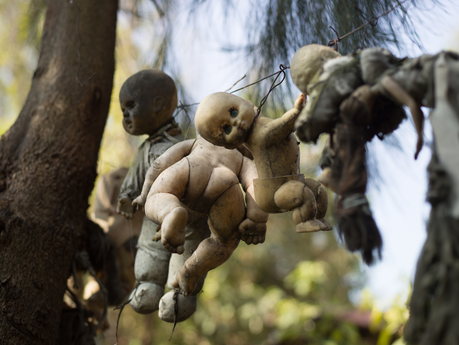 México Ilha das Bonecas Mortas - Decadência, Beleza e Escuridão - Rebecca Bathory Fotógrafa | Fotografia de Arte Fina