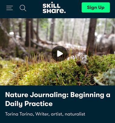 Skillshare Class: Nature Journaling: Beginning a Daily Practice