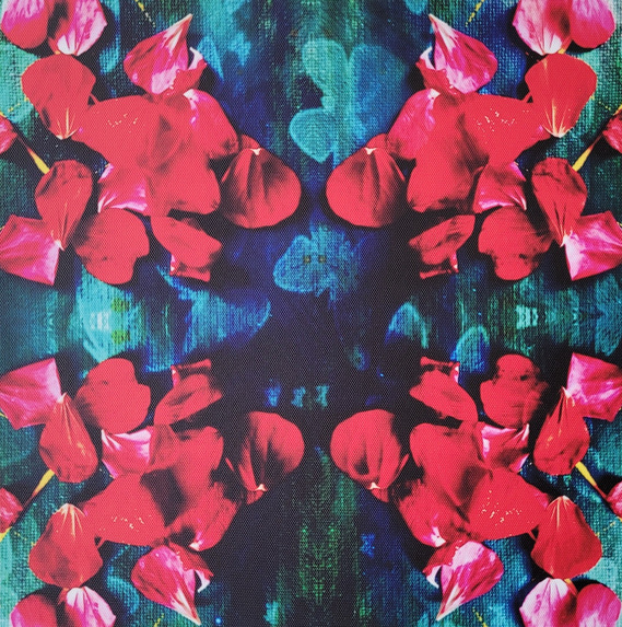 Day 69: Artwork: Painted black and teal canvas with red geranium petals mirrored four ways and butterfly shadows dancing in the background.