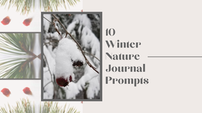 Nature Journaling Skillshare Classes