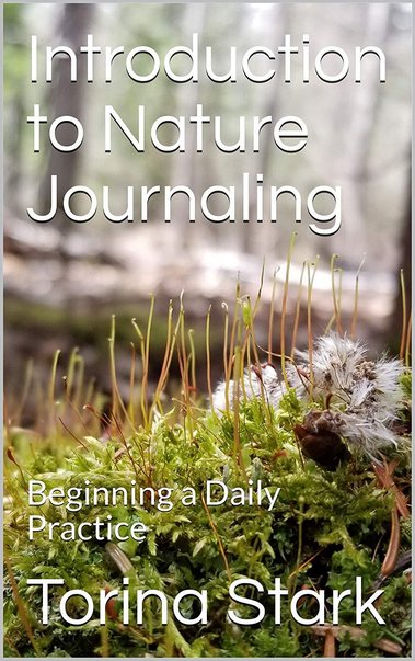 Book Cover Image: Text says Introduction to Nature Journaling: Beginning a Daily Practice by Torina Stark. Background is a picture of moss with long tendrils growing on a log with a blurry background of snowy woods.