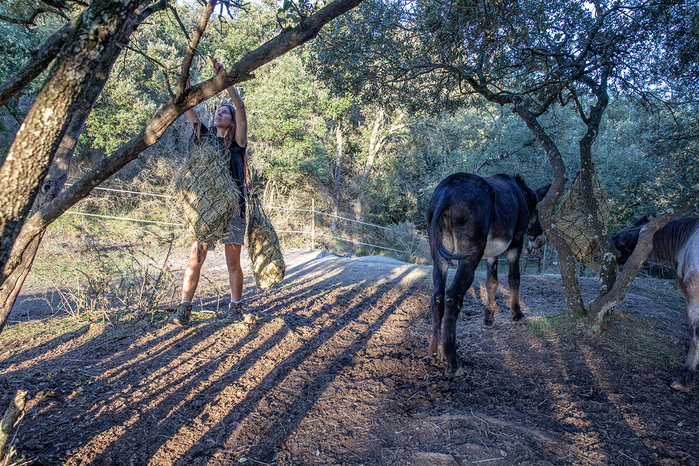 Wild love © Ana Palacios Documentary Photographer