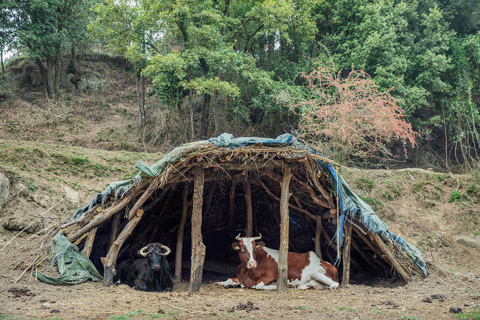 Wild love © Ana Palacios Documentary Photographer
