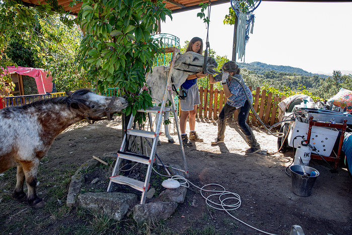Wild love © Ana Palacios Documentary Photographer