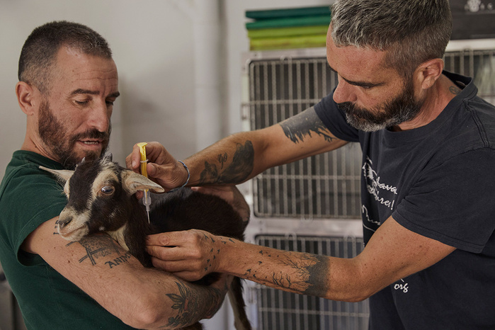 Wild love © Ana Palacios Documentary Photographer