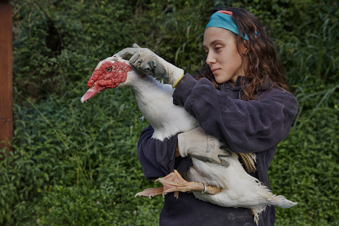 Wild love © Ana Palacios Documentary Photographer