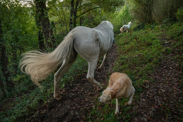Wild love © Ana Palacios Documentary Photographer