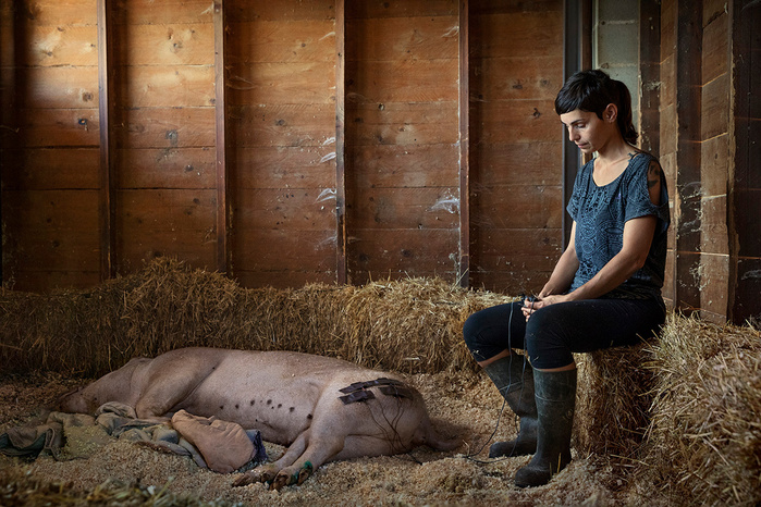Wild love © Ana Palacios Documentary Photographer