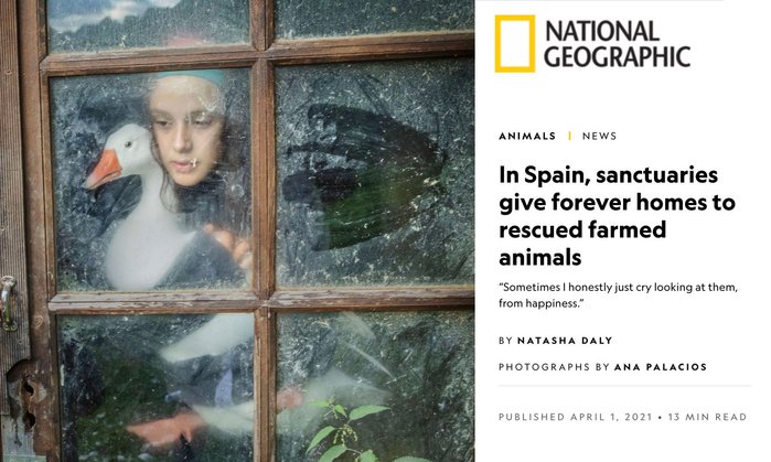 Ana Palacios Documentary Photographer. Tearsheet. Nat Geo April 2021