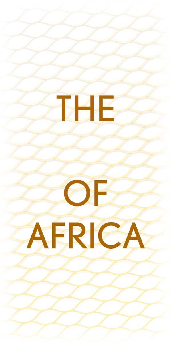 Benin under your skin. Photography project @ Ana Palacios Documentary Photographer