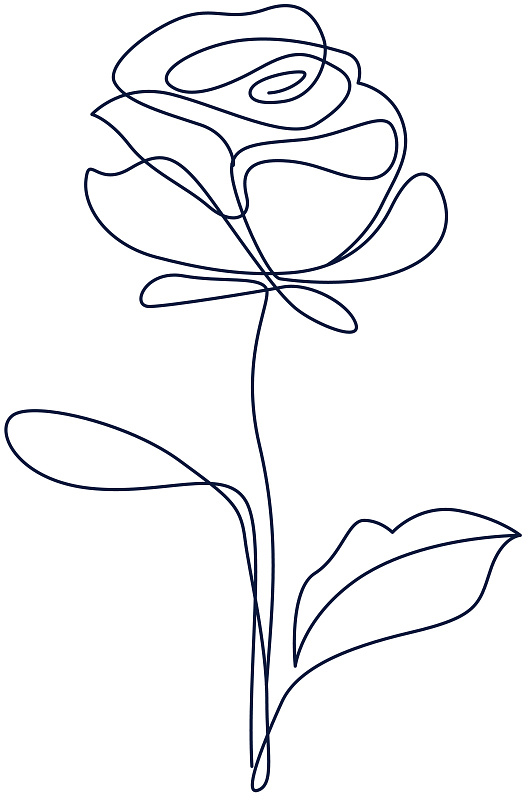 Peony Photo