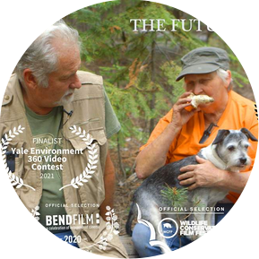 Film Festival laurels overlay an image of two mushroom foragers sitting on a fallen tree in the woods with their small dog, smelling a Matsutake mushroom, are the main characters of the short documentary film 