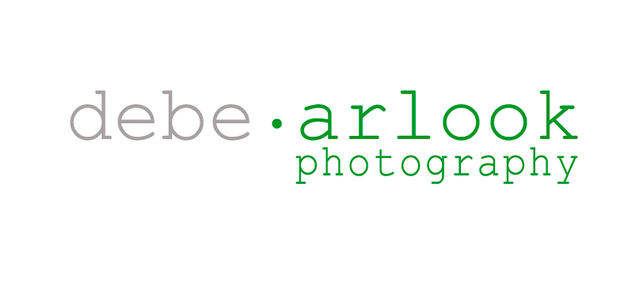 debe arlook fine art photography 