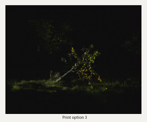 Föhr Insel, Föhr Fotografie, Mila Teshaieva Die Insel, InselWesen bestellen, InselWesen kaufen, InselWesen Katalog kaufen