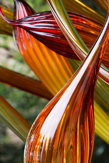 Glass Reeds