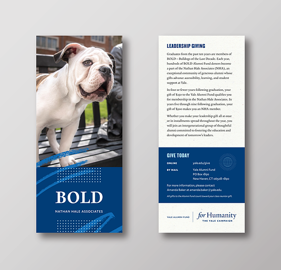 BOLD Rack Card