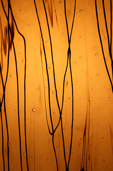Lines and Light