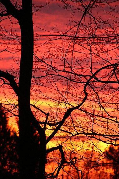 Winter Sunrise Over the Chester Fairgrounds