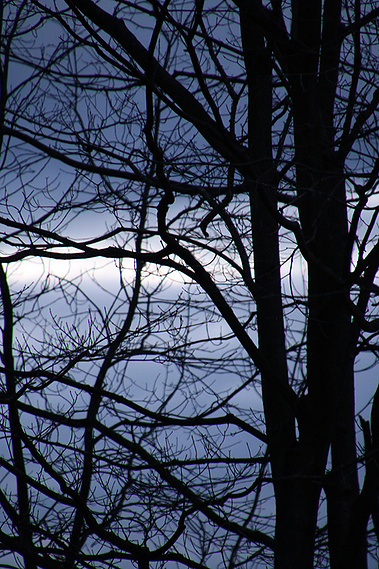 Blue Winter Sunrise