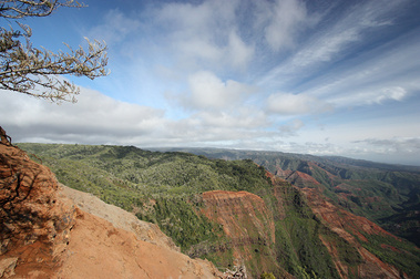 Waimea Canyon | Kaua'i, HI