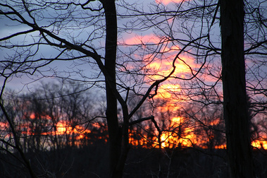 Winter Sunrise