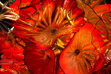 Blown Glass Flowers