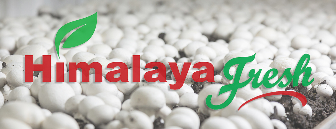 Himalaya Fresh Mushrooms - 100% all-natural mushrooms grown in India without the use of chemicals.