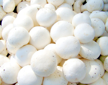 Whole Button Mushrooms - Himalaya Fresh Mushrooms