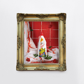 Mary Sue, art, photography, contemporary, still life, themarysueproject