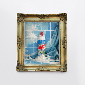 Mary Sue, art, photography, contemporary, still life, themarysueproject