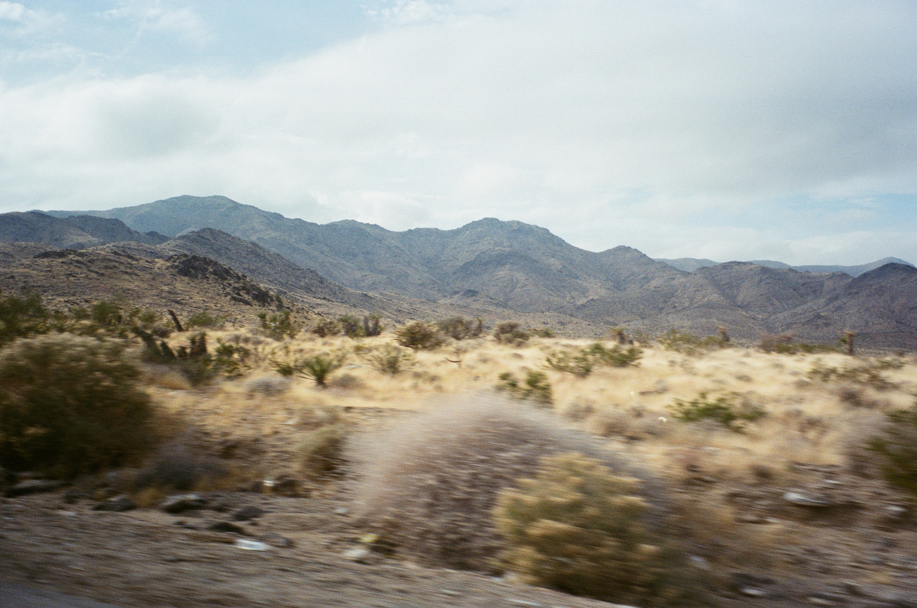 Joshua Tree, 2023
