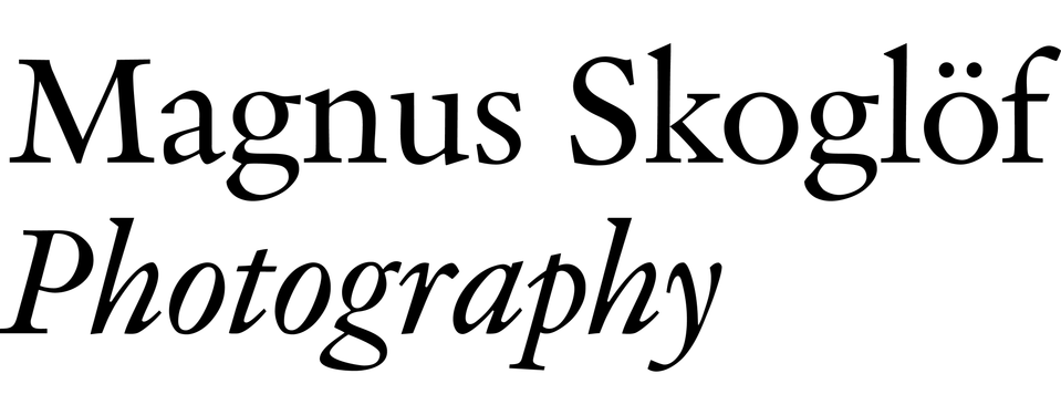 Magnus Skoglöf Photography
