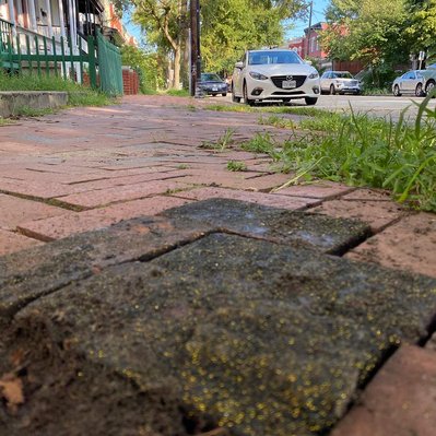 The Impossibility. Virginia, US (2020) performance by Luis Vasquez La Roche. Richmond, Virginia