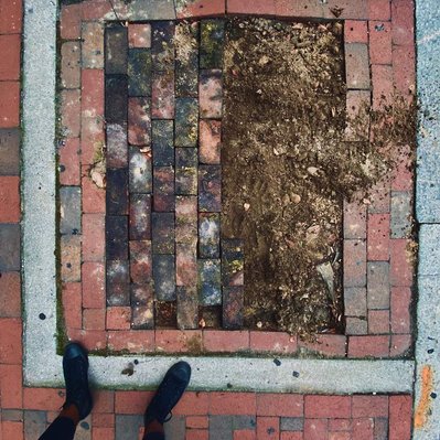 The Impossibility. Virginia, US (2020) performance by Luis Vasquez La Roche. Richmond, Virginia