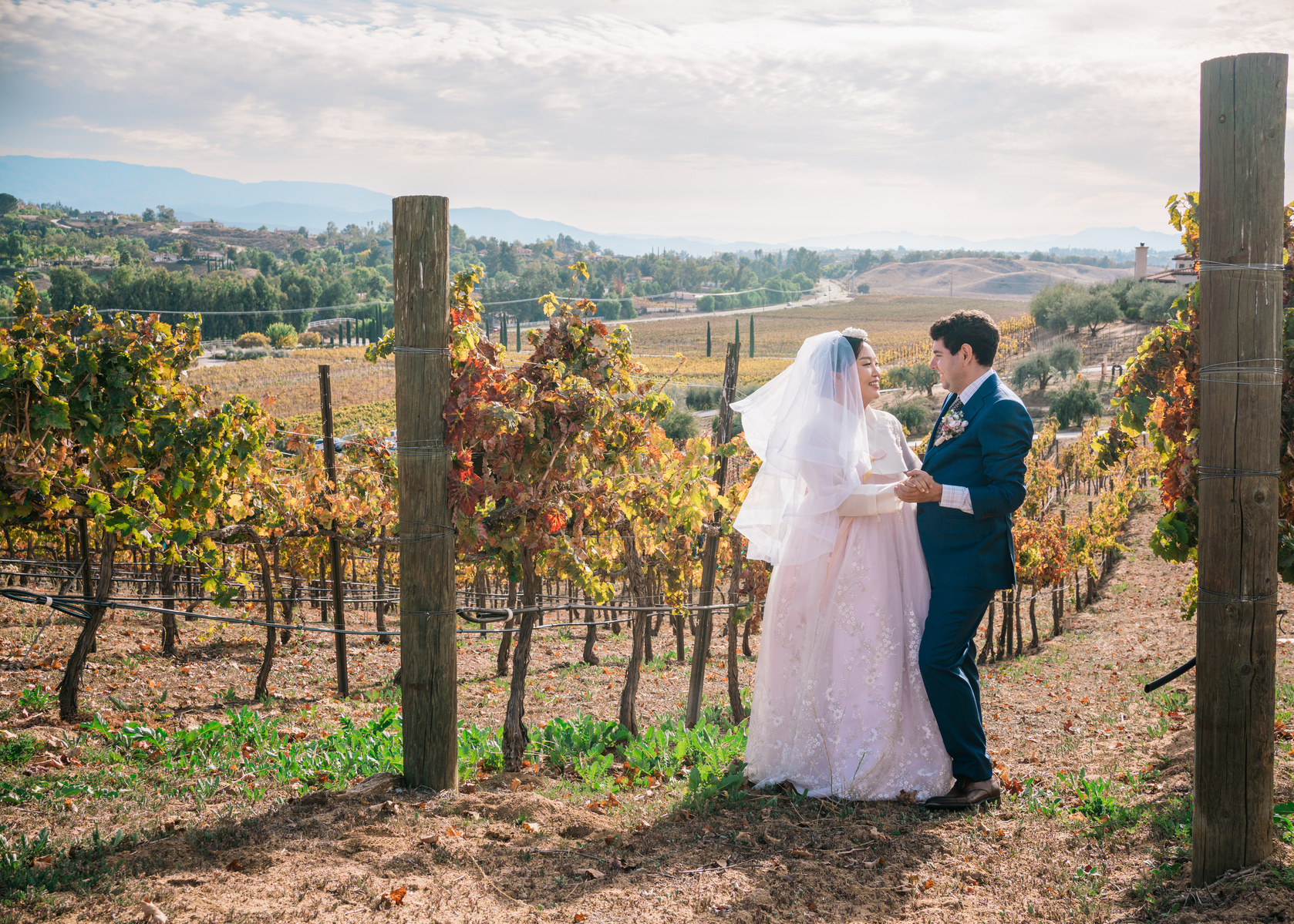 korean bride in her hanbok and jewish groom stand face to face among the vines in the vineyards as the rolling hills go on forever in the background temecula california wine country wedding photography
