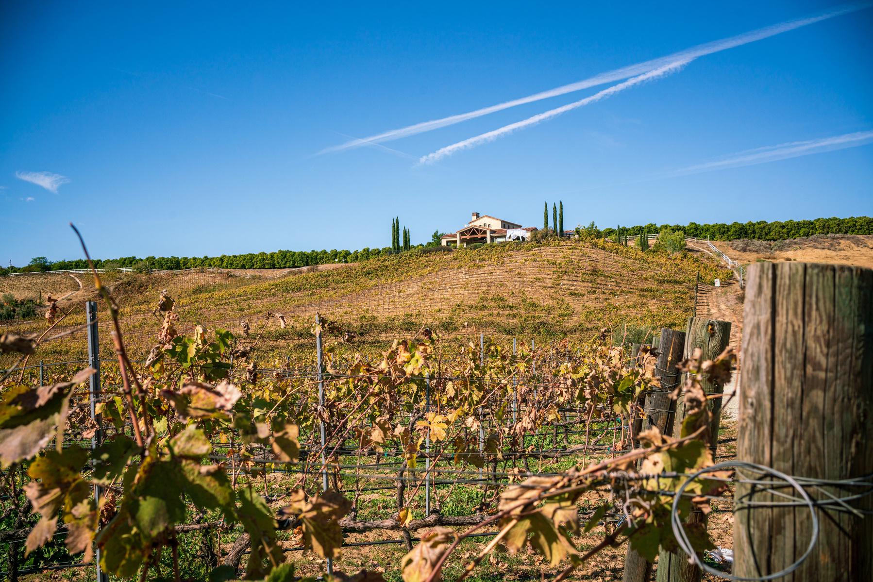 house on a hill view from the bottom of the vineyard