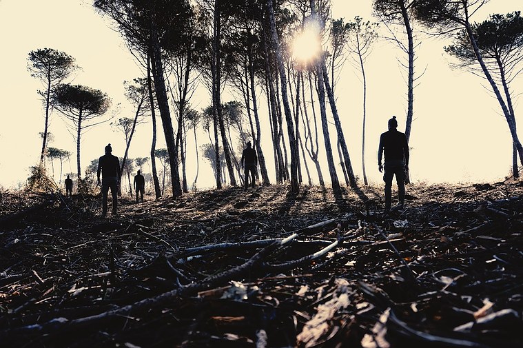 four clone men frozen in a forest illuminated by a cutting light