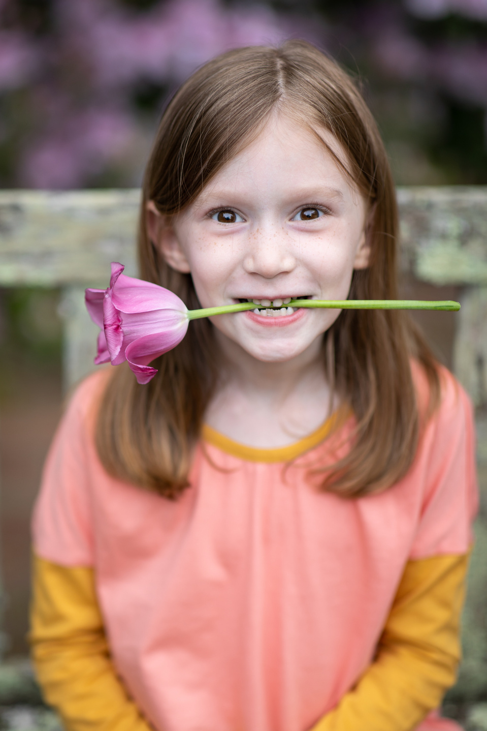 little girl sat on a bench with a pink tulip between her teeth.